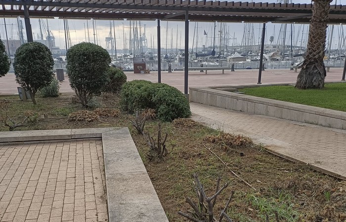 Limpieza Jardineras Port de Castelló 1